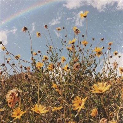 张雪峰公司发布讣告:张雪峰老师因心源性猝死全力抢救无效逝世