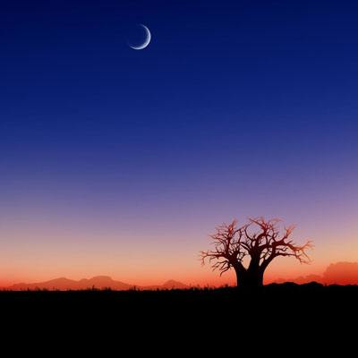 直击中信银行业绩会，“新十万亿银行”今年怎么干？